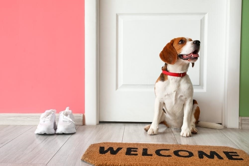 happy dog next to a welcome mat